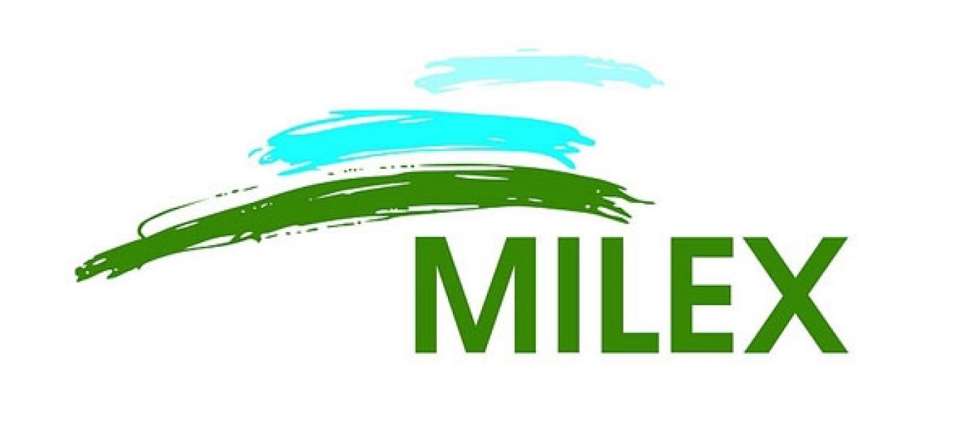 Вузы Беларуси на выставке MILEX-2023